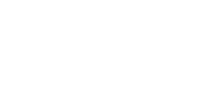 Candix - logo